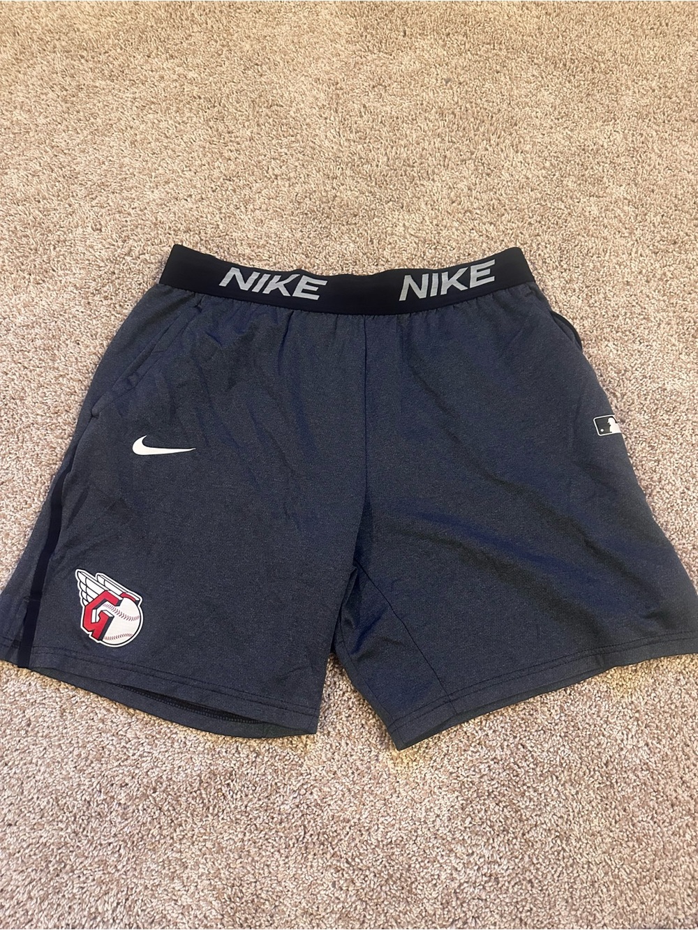 Nike Cleveland Guardians MLB Authentic Collection Gray Athletic Shorts Size L